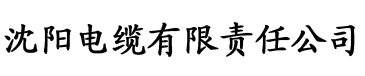 亚洲一区二区三区又爽又大电缆厂logo